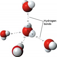 Dipole